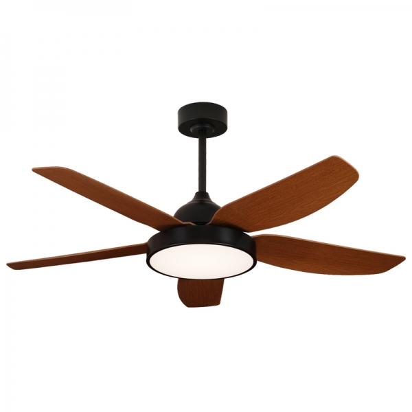 CT25-048-5葉（yè）