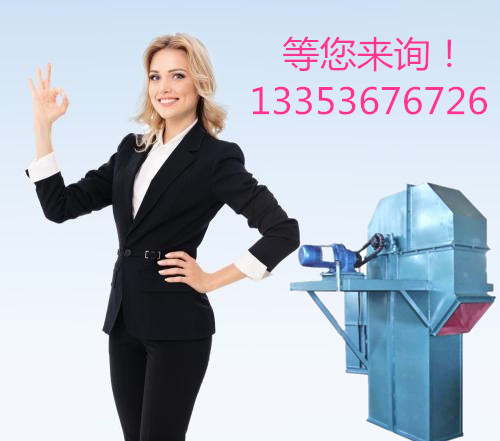 散料碎塊TH環鏈鬥式提升（shēng）機詳解