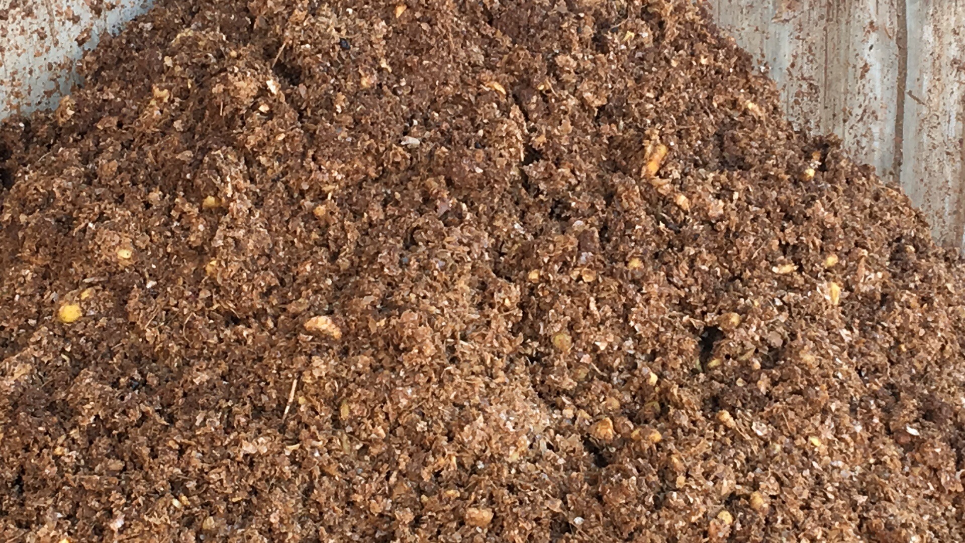 雲南生薑脫水物料（liào）