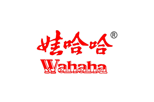 洛陽（yáng）娃哈哈食（shí）品加（jiā）工燃氣蒸汽鍋爐案例