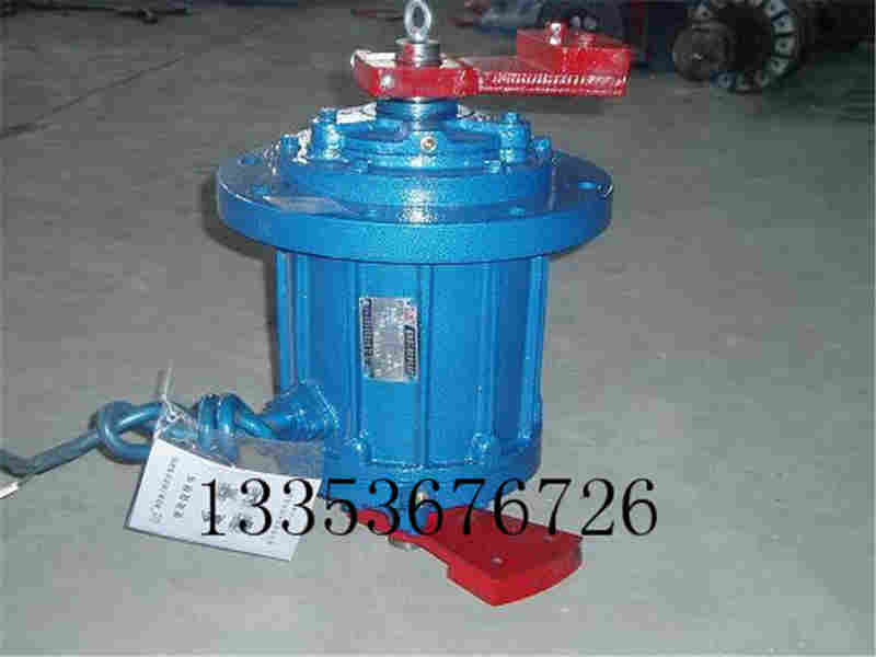 立式振動（dòng）電機